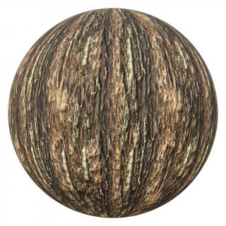 PBR texture wood tree bark 4K